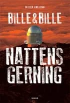 Nattens gerning