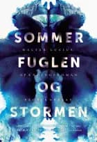 Sommerfuglen og stormen
