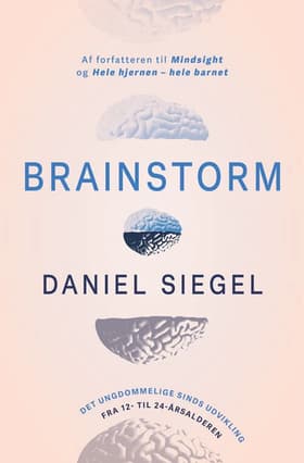Brainstorm af Daniel Siegel