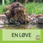 En løve