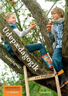 Udepædagogik af Lars Bergholdt
