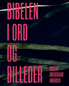 Bibelen i ord og billeder af Lisbeth Smedegaard Andersen