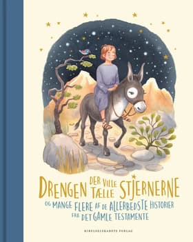 Drengen der ville tælle stjernerne af Birgitte Ahlmann