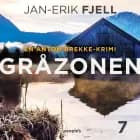 Gråzonen