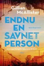 Endnu en savnet person