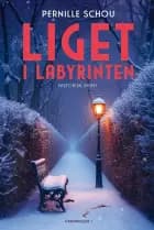 Liget i labyrinten