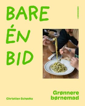 Bare én bid af Christian Schødts