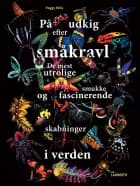 På udkig efter småkravl