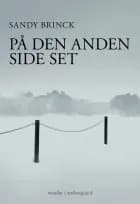 På den anden side set