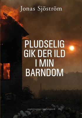 Pludselig gik der ild i min barndom af Jonas Sjöströms