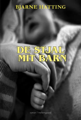 De stjal mit barn af Bjarne Hatting