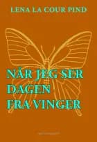 Når jeg ser dagen fra vinger