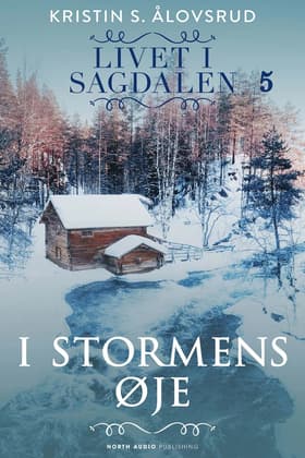 I stormens øje af Kristin S. Ålovsrud