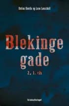 Blekingegade 2, 1.th