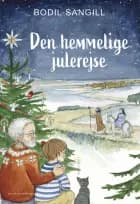 Den hemmelige julerejse