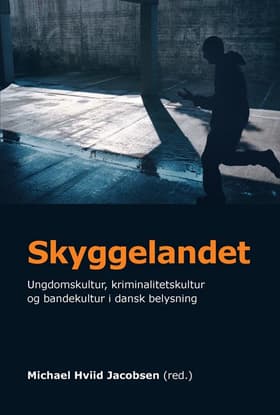 Skyggelandet af Michael Hviid Jacobsen