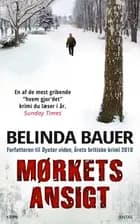 Mørkets ansigt, MP3