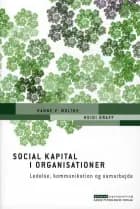 Social kapital i organisationer