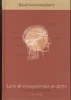 Basal Neuroanatomi