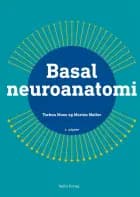 Basal neuroanatomi