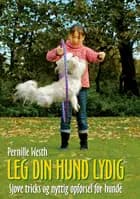 Leg din hund lydig