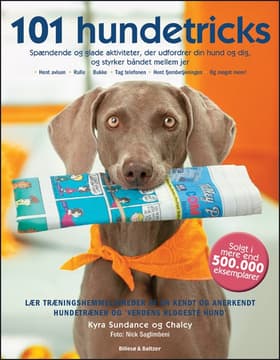 101 hundetricks af Kyra Sundance