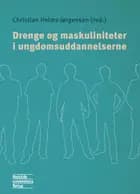 Drenge og maskuliniteter i ungdomsuddannelserne