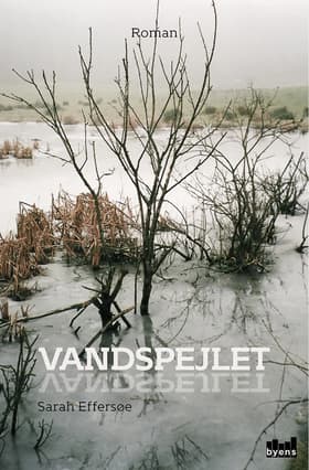 Vandspejlet af Sarah Effersøe