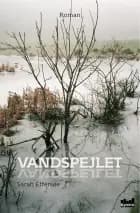Vandspejlet