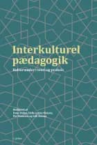 Interkulturel pædagogik