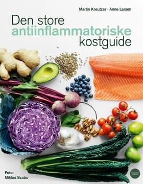 Den store antiinflammatoriske kostguide af Martin Kreutzer