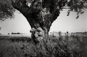 Hindsholm af Peter Brandes