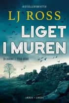 Liget i muren (U)