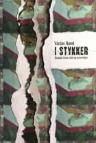I stykker