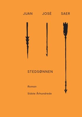 Stedsønnen af Juan José Saer