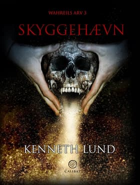 Skyggehævn af Kenneth Lund