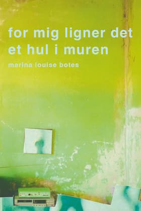 For mig ligner det et hul i muren af Marina Louise Botes