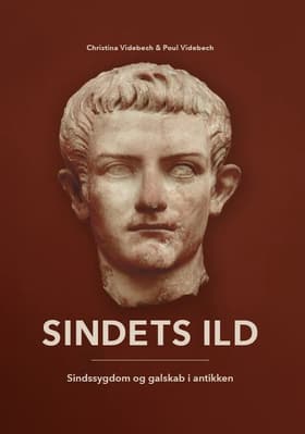 Sindets Ild af Poul Videbech
