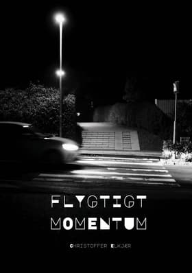 Flygtigt Momentum af Christoffer Elkjær