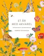 Et år med akvarel