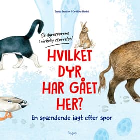 Hvilket dyr har gået her? Se dyresporene i virkelig størrelse! af Christine Henkel