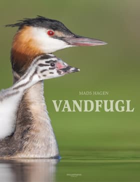 Vandfugl af Mads Hagen