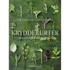 Krydderurter