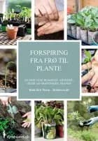 Forspiring fra frø til plante