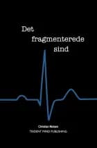 Det fragmenterede sind