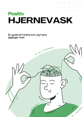 Positiv Hjernevask af Knud Magnussen