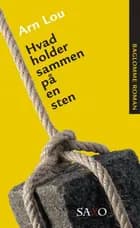 Hvad holder sammen på en sten