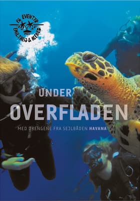 Under overfladen af Emil Midé Erichsen
