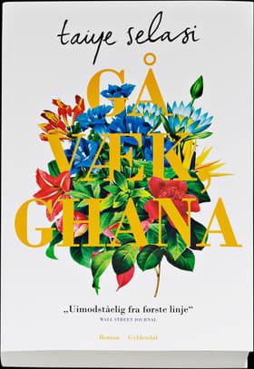 Gå væk, Ghana af Taiye Selasi