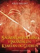 Sagaen om folkene i Laksådalen